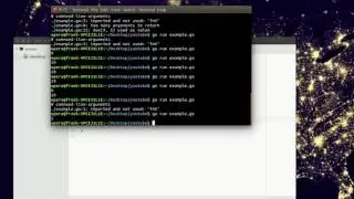 Learn Golang - Arrays