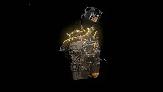 DYNAMAX Motor Oils