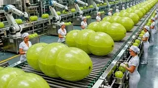 Inside a Modern Amla Factory &ndash; From Raw Amla Fruits to Finished Products (Full Process)