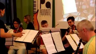 Padovarte Orchestra: The pink panther