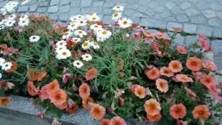 #БадВиндсхайм, старый немецкий город. Вечер, весна.