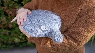 撫でて癒される～猫しっぽクッション『Petit Qoobo』