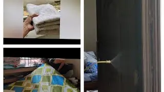 home cleaning after pest control part 1#white insects