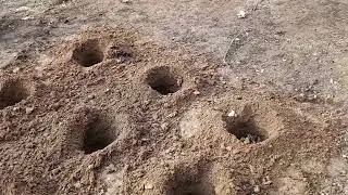 Метод добавления питательных веществ в почву с нулевыми затратами.