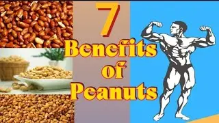7 Health Benefits of Eating  Peanuts