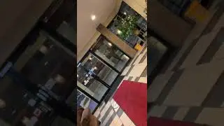 January 19, 2019  &laquo;&raquo;&raquo;современность &laquo;&raquo;&raquo;