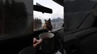 A typical morning in van as a solo female traveler #shorts #vanlife
