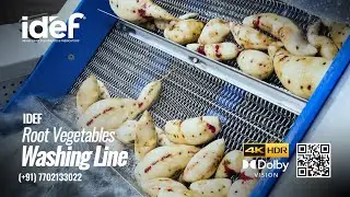 Root Vegetables Washing Line, Sweet Potato Washing Line, Potato Processing Line