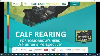 Calf rearing management and what works on Philip Donohoe&rsquo;s farm for a successful calving season