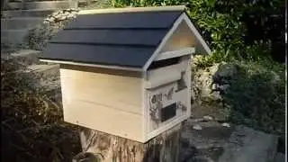 Bo&icirc;te aux lettres bois prestige Saint Hubert