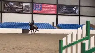 70cm unaffiliated @ Morris Equestrian