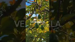 Somos un pueblo que, aunque enfrenta desaf&iacute;os, nunca deja de so&ntilde;ar #orgullovenezolano #venezuela