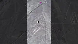 Unraveling the Mystery of the Nazca Lines! #facts #history #travel