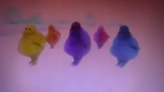 Boohbah: Jumping on the Balls Warm-Up Dance