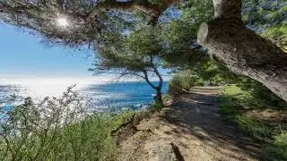 S&eacute;jour &agrave; Saint Mandrier sur mer