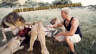 MEN SHERLARDAN QO'RQMAYMAN | DEAN SCHNEIDER | BIR INSON HIKOYASI