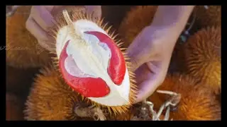 8 Best Durian Types Of Malaysia | King of fruits