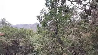 خلك معي رحلة إلى النماص 15 /11 /1441 هـ 6 يوليو 2020م