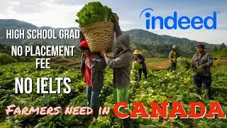 Farmers need in CANADA 🇨🇦 &ldquo;direct hire by indeed&rdquo;