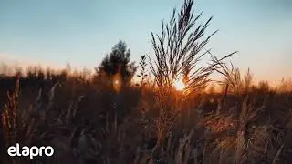 HUZUR VEREN T&Uuml;RK&Uuml;LER - Dinlendirici - Rahatlatıcı Ezgiler #elapro