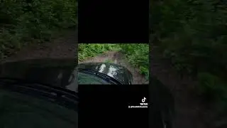 bmw e90 offroading/softroading on woodland trails