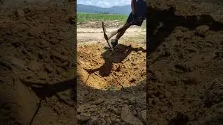 you gotta dig!