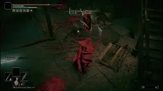 The Wanderer- Stalker of Stormveil [Elden Ring PvP]