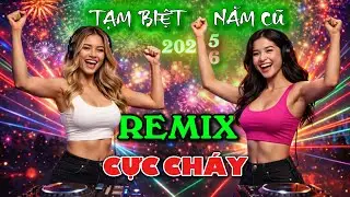 Tạm Biệt Năm Cũ – Nhạc Xuân Remix Hay Nhất, Đón Năm Mới 2026| NHẠC LTD