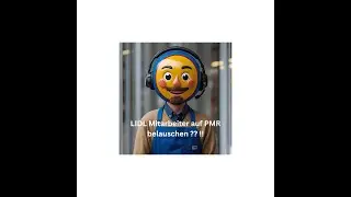 LIDL Mitarbeiter beim Funken belauschen ? !  PMR 446 machts m&ouml;glich