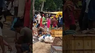 today market complex view #indiavlogs#viral#shorts#treadingshorts#marketcomplex#fishmarket
