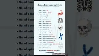Human Body Important Facts| By Dr. Of Physiotherapist 🥼🌟