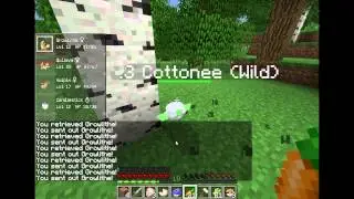 Pixelmon Daily Episode 7 - 