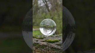 Lensball Fotografie bei Regen | #lensball #wet #photography #likeandsubscribe #shorts