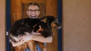 MOST ADVENTUROUS DOG IN THE WORLD goes to Tucson
