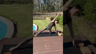 Flowing Gate Pose with a Twist