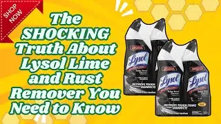 Are You Using Lysol Lime and Rust Remover WRONG