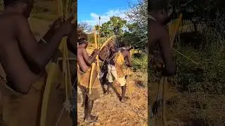 A Quiet Path Through the Jungle&hellip; Until It Turned Dangerous | Bush Awareness! | जंगल का संकट