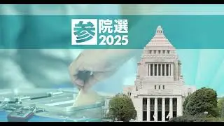 Japan&rsquo;s 2025 upper house election Pre-election Analysis