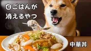 白ごはんが止まらない…！トロ〜リ中華丼【ポチ食堂】