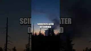 The Enigmatic Phenomenon of the Tunguska Event