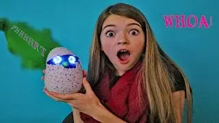 What did my Hatchimal do?  / JustJordan33