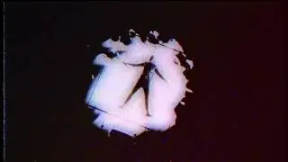 KoruSe, winternarnia - FREEFALL