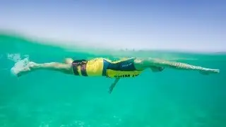 Swim IT: History