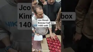 kinnour half box royal sold 1400 at jco mandi Shimla 30.8.25 #kinnour #kinnournews