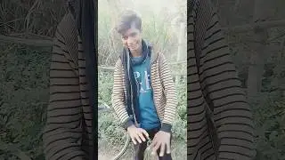 किस calr की
