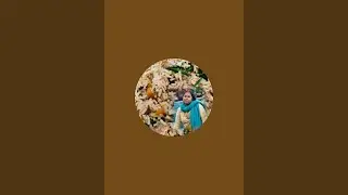 Nibedita Kitchen  is live