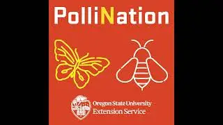 200 - OSU Pollinator Health Lab - An Expose!