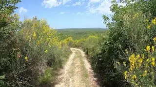 BALE OFFROAD -  Sounds of hidden wilderness