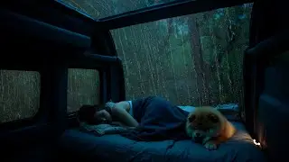 Гром И Сильный Дождь В Машине ⛈️ Теплые Звуки Дождя И Нежная Фортепианная Музыка Для Глубокого Ра...