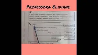 ATIVIDADE DE N&Uacute;MERO 114